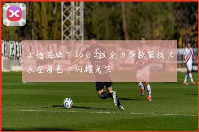 古德温砍下16分5板全力争抢篮板力求在角色中闪耀光芒
