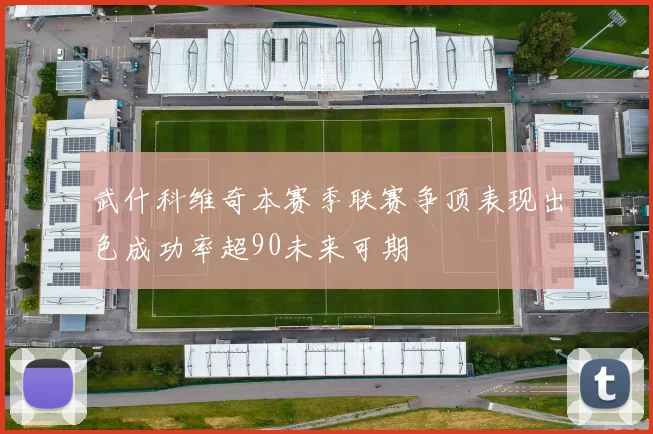 武什科维奇本赛季联赛争顶表现出色成功率超90未来可期