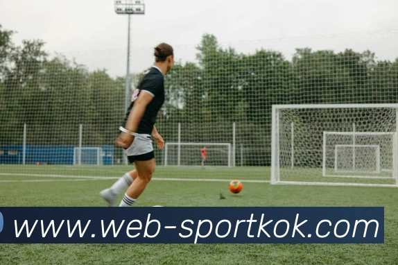 KOK体育APP 封面图